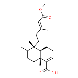 ChemSpider 2D Image | (4aR,5S,8aR)-5-[(3E)-5-Methoxy-3-methyl-5-oxo-3-penten-1-yl]-5,6,8a-trimethyl-3,4,4a,5,6,7,8,8a-octahydro-1-naphthalenecarboxylic acid | C21H32O4