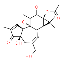 ChemSpider 2D Image | (1aR,1bS,4aR,7aS,7bS,9aS)-4a,7b,9-Trihydroxy-3-(hydroxymethyl)-1,1,6,8-tetramethyl-5-oxo-1,1a,1b,4,4a,5,7a,7b,8,9-decahydro-9aH-cyclopropa[3,4]benzo[1,2-e]azulen-9a-yl acetate | C22H30O7