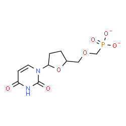 ChemSpider 2D Image | ({[5-(2,4-Dioxo-3,4-dihydro-1(2H)-pyrimidinyl)tetrahydro-2-furanyl]methoxy}methyl)phosphonate | C10H13N2O7P