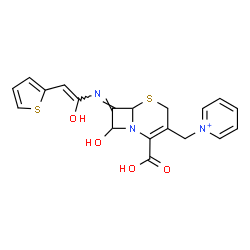 ChemSpider 2D Image | 1-{[(7E)-2-Carboxy-8-hydroxy-7-{[(Z)-1-hydroxy-2-(2-thienyl)vinyl]imino}-5-thia-1-azabicyclo[4.2.0]oct-2-en-3-yl]methyl}pyridinium | C19H18N3O4S2