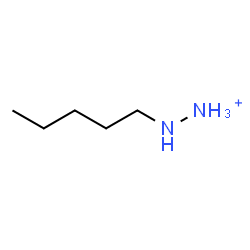ChemSpider 2D Image | Pentylhydrazinium | C5H15N2
