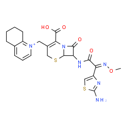 ChemSpider 2D Image | 1-[(7-{[(2E)-2-(2-Amino-1,3-thiazol-4-yl)-2-(methoxyimino)acetyl]amino}-2-carboxy-8-oxo-5-thia-1-azabicyclo[4.2.0]oct-2-en-3-yl)methyl]-5,6,7,8-tetrahydroquinolinium | C23H25N6O5S2