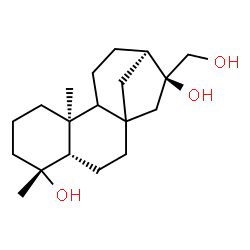 ChemSpider 2D Image | (4S,5R,9S,13R,14S)-14-(Hydroxymethyl)-5,9-dimethyltetracyclo[11.2.1.0~1,10~.0~4,9~]hexadecane-5,14-diol | C19H32O3