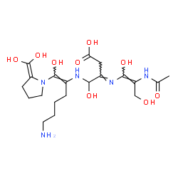 ChemSpider 2D Image | (3E)-3-{[(1Z)-2-Acetamido-1,3-dihydroxy-1-propen-1-yl]imino}-4-({(1Z)-6-amino-1-[2-(dihydroxymethylene)-1-pyrrolidinyl]-1-hydroxy-1-hexen-2-yl}amino)-4-hydroxybutanoic acid | C20H33N5O9