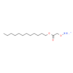 ChemSpider 2D Image | [2-(Dodecyloxy)-2-oxoethoxy]ammonium | C14H30NO3