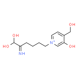ChemSpider 2D Image | 1-(6,6-Dihydroxy-5-iminohexyl)-3-hydroxy-4-(hydroxymethyl)pyridinium | C12H19N2O4