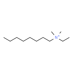 ChemSpider 2D Image | N-Ethyl-N,N-dimethyl-1-octanaminium | C12H28N