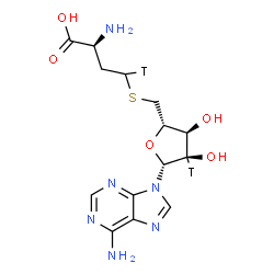 ChemSpider 2D Image | (2S)-2-Amino-4-({[(2S,3R,4S,5R)-5-(6-amino-9H-purin-9-yl)-3,4-dihydroxy(4-~3~H)tetrahydro-2-furanyl]methyl}sulfanyl)(4-~3~H_1_)butanoic acid | C14H18T2N6O5S
