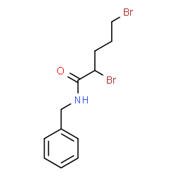 ChemSpider 2D Image | N-Benzyl-2,5-dibromopentanamide | C12H15Br2NO