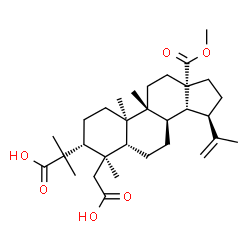 ChemSpider 2D Image | 2-[(3alpha,4beta,5beta,8alpha,9beta,10alpha,13alpha,14beta,15beta)-4-(Carboxymethyl)-15-isopropenyl-18-methoxy-4,9-dimethyl-18-oxoandrostan-3-yl]-2-methylpropanoic acid | C31H48O6