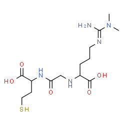 ChemSpider 2D Image | N-(4-{(E)-[Amino(dimethylamino)methylene]amino}-1-carboxybutyl)glycylhomocysteine | C14H27N5O5S