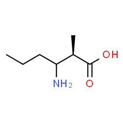 ChemSpider 2D Image | (2R)-3-Amino-2-methylhexanoic acid | C7H15NO2