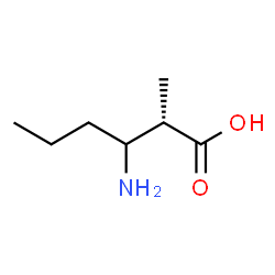 ChemSpider 2D Image | (2S)-3-Amino-2-methylhexanoic acid | C7H15NO2