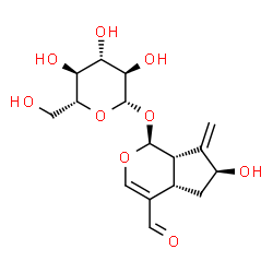 ChemSpider 2D Image | (1S,4aS,6S,7aS)-4-Formyl-6-hydroxy-7-methylene-1,4a,5,6,7,7a-hexahydrocyclopenta[c]pyran-1-yl beta-D-glucopyranoside | C16H22O9