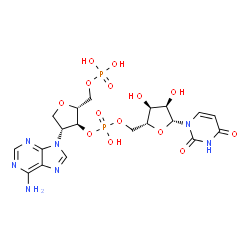 ChemSpider 2D Image | [(2R,3S,4R)-4-(6-Amino-9H-purin-9-yl)-3-{[{[(2R,3S,4R,5R)-5-(2,4-dioxo-3,4-dihydro-1(2H)-pyrimidinyl)-3,4-dihydroxytetrahydro-2-furanyl]methoxy}(hydroxy)phosphoryl]oxy}tetrahydro-2-furanyl]methyl dihy
drogen phosphate | C19H25N7O14P2