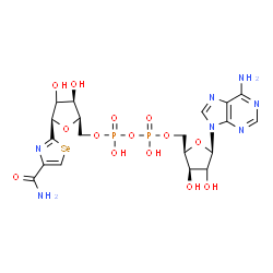 ChemSpider 2D Image | [(2R,3R,5R)-5-(6-Amino-9H-purin-9-yl)-3,4-dihydroxytetrahydro-2-furanyl]methyl [(2R,3R,5R)-5-(4-carbamoyl-1,3-selenazol-2-yl)-3,4-dihydroxytetrahydro-2-furanyl]methyl dihydrogen diphosphate (non-prefe
rred name) | C19H25N7O14P2Se
