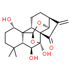 ChemSpider 2D Image | (2S,5S,8R,9S,11S,13S,14S,15R,19S)-13,14,19-Trihydroxy-16,16-dimethyl-6-methylene-10,12-dioxahexacyclo[9.8.0.0~1,15~.0~2,8~.0~5,9~.0~8,13~]nonadecan-7-one | C20H26O6