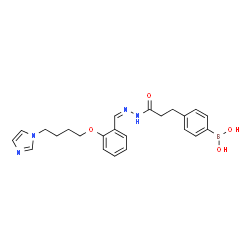 ChemSpider 2D Image | (4-{3-[(2Z)-2-{2-[4-(1H-Imidazol-1-yl)butoxy]benzylidene}hydrazino]-3-oxopropyl}phenyl)boronic acid | C23H27BN4O4