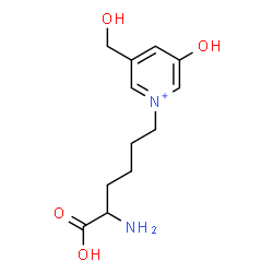 ChemSpider 2D Image | 6-[3-Hydroxy-5-(hydroxymethyl)-1-pyridiniumyl]norleucine | C12H19N2O4