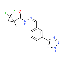 ChemSpider 2D Image | 2,2-Dichloro-1-methyl-N'-{(Z)-[3-(2H-tetrazol-5-yl)phenyl]methylene}cyclopropanecarbohydrazide | C13H12Cl2N6O