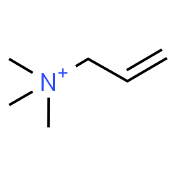 ChemSpider 2D Image | N,N,N-Trimethyl-2-propen-1-aminium | C6H14N