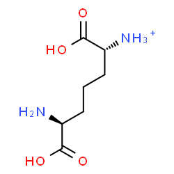 ChemSpider 2D Image | (1R,5S)-5-Amino-1,5-dicarboxy-1-pentanaminium | C7H15N2O4