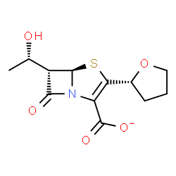 ChemSpider 2D Image | (5R,6S)-6-[(1S)-1-Hydroxyethyl]-7-oxo-3-[(2R)-tetrahydro-2-furanyl]-4-thia-1-azabicyclo[3.2.0]hept-2-ene-2-carboxylate | C12H14NO5S