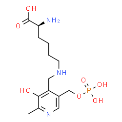ChemSpider 2D Image | N~6~-({3-Hydroxy-2-methyl-5-[(phosphonooxy)methyl]-4-pyridinyl}methyl)-L-lysine | C14H24N3O7P