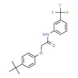 ChemSpider 2D Image | 2-(4-tert-butylphenoxy)-N-[3-(trifluoromethyl)phenyl]acetamide | C19H20F3NO2