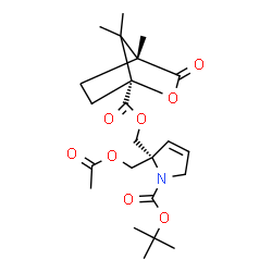 ChemSpider 2D Image | 2-Methyl-2-propanyl (2R)-2-(acetoxymethyl)-2-[({[(1S,4R)-4,7,7-trimethyl-3-oxo-2-oxabicyclo[2.2.1]hept-1-yl]carbonyl}oxy)methyl]-2,5-dihydro-1H-pyrrole-1-carboxylate | C23H33NO8