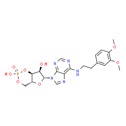 ChemSpider 2D Image | (4aR,6R,7R,7aS)-6-(6-{[2-(3,4-Dimethoxyphenyl)ethyl]amino}-9H-purin-9-yl)tetrahydro-4H-furo[3,2-d][1,3,2]dioxaphosphinine-2,7-diol 2-oxide | C20H24N5O8P