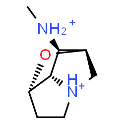 ChemSpider 2D Image | (1R,3S,7S,8R)-8-(Methylammonio)-2-oxa-6-azoniatricyclo[4.2.1.0~3,7~]nonane | C8H16N2O