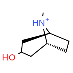 ChemSpider 2D Image | (1R,5S)-3-Hydroxy-8-methyl-8-azoniabicyclo[3.2.1]octane | C8H16NO