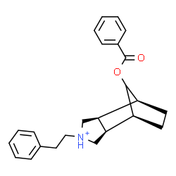 ChemSpider 2D Image | (1S,2R,6S,7S)-10-(Benzoyloxy)-4-(2-phenylethyl)-4-azoniatricyclo[5.2.1.0~2,6~]decane | C24H28NO2