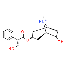 ChemSpider 2D Image | (1R,3S,5R,6S)-6-Hydroxy-3-{[(2S)-3-hydroxy-2-phenylpropanoyl]oxy}-8-methyl-8-azoniabicyclo[3.2.1]octane | C17H24NO4