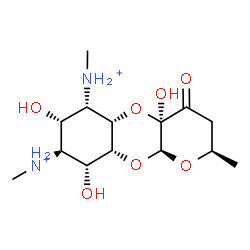ChemSpider 2D Image | (2R,4aR,5aS,6S,7S,8R,9R,9aR,10aS)-4a,7,9-Trihydroxy-N,N',2-trimethyl-4-oxodecahydro-2H-pyrano[2,3-b][1,4]benzodioxine-6,8-diaminium | C14H26N2O7