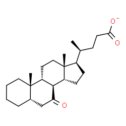 ChemSpider 2D Image | (5beta,8alpha,9beta,14beta,20S)-7-Oxocholan-24-oate | C24H37O3