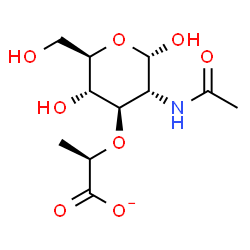 ChemSpider 2D Image | 2-Acetamido-3-O-[(1R)-1-carboxylatoethyl]-2-deoxy-alpha-D-glucopyranose | C11H18NO8