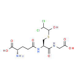 ChemSpider 2D Image | S-(2,2-Dichloro-1-hydroxy)ethyl glutathione | C12H19Cl2N3O7S