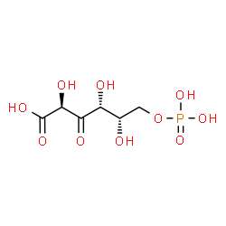 ChemSpider 2D Image | 3-dehydro-L-gulonic acid 6-phosphate | C6H11O10P