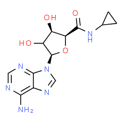 ChemSpider 2D Image | (2S,3R,5R)-5-(6-Amino-9H-purin-9-yl)-N-cyclopropyl-3,4-dihydroxytetrahydro-2-furancarboxamide | C13H16N6O4