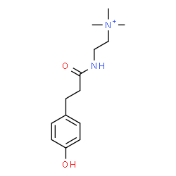 ChemSpider 2D Image | 2-{[3-(4-Hydroxyphenyl)propanoyl]amino}-N,N,N-trimethylethanaminium | C14H23N2O2