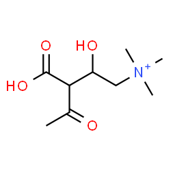ChemSpider 2D Image | 3-Carboxy-1,3,5-trideoxy-5-(trimethylammonio)pent-2-ulose | C9H18NO4