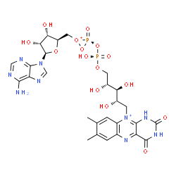 ChemSpider 2D Image | 10-[(2S,3S,4R)-5-{[(R)-{[(3S)-1-{[(2R,3S,4R,5R)-5-(6-Amino-9H-purin-9-yl)-3,4-dihydroxytetrahydro-2-furanyl]methyl}-3-oxidodioxaphosphiran-1-ium-3-yl]oxy}(hydroxy)phosphoryl]oxy}-2,3,4-trihydroxypenty
l]-7,8-dimethyl-2,4-dioxo-1,2,3,4-tetrahydrobenzo[g]pteridin-10-ium | C27H33N9O15P2