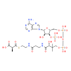 ChemSpider 2D Image | (S)-Methylmalonyl-CoA | C25H40N7O19P3S