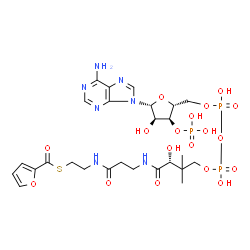 ChemSpider 2D Image | 2-Furoyl-CoA | C26H38N7O18P3S