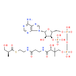 ChemSpider 2D Image | (S)-3-Hydroxyisobutyryl-CoA | C25H42N7O18P3S