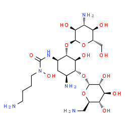 ChemSpider 2D Image | 3-{(1R,2S,3S,4R,5S)-5-Amino-2-[(3-amino-3-deoxy-alpha-L-glucopyranosyl)oxy]-4-[(6-amino-6-deoxy-alpha-D-glucopyranosyl)oxy]-3-hydroxycyclohexyl}-1-(4-aminobutyl)-1-hydroxyurea | C23H46N6O13