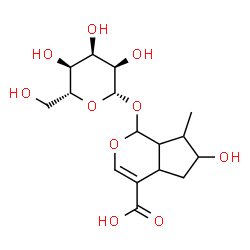ChemSpider 2D Image | 1-(beta-D-Allopyranosyloxy)-6-hydroxy-7-methyl-1,4a,5,6,7,7a-hexahydrocyclopenta[c]pyran-4-carboxylic acid | C16H24O10