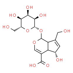 ChemSpider 2D Image | (5S)-1-(beta-D-Allopyranosyloxy)-5-hydroxy-7-(hydroxymethyl)-1,4a,5,7a-tetrahydrocyclopenta[c]pyran-4-carboxylic acid | C16H22O11